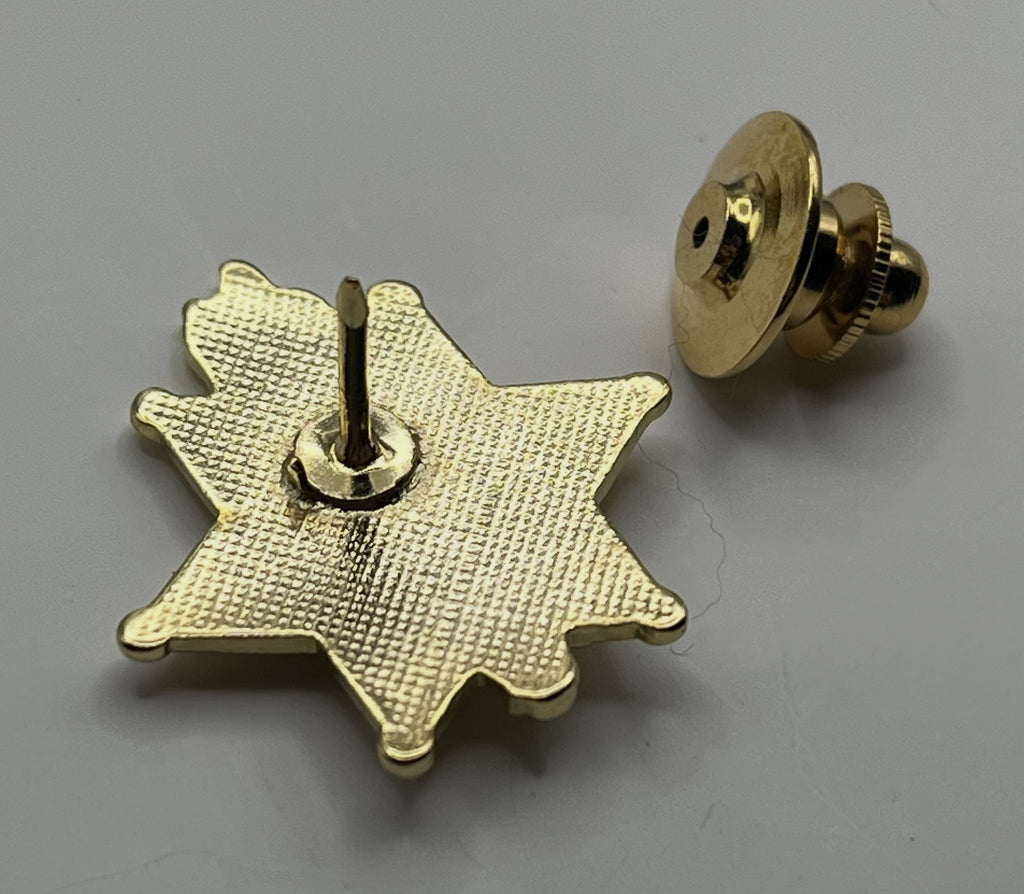 1984 Olympic Pin ~ LASD Deputy Sheriff Star 3D Pin on Pin Bear Torch