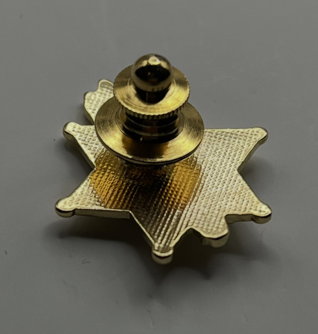1984 Olympic Pin ~ LASD Deputy Sheriff Star 3D Pin on Pin Bear Torch