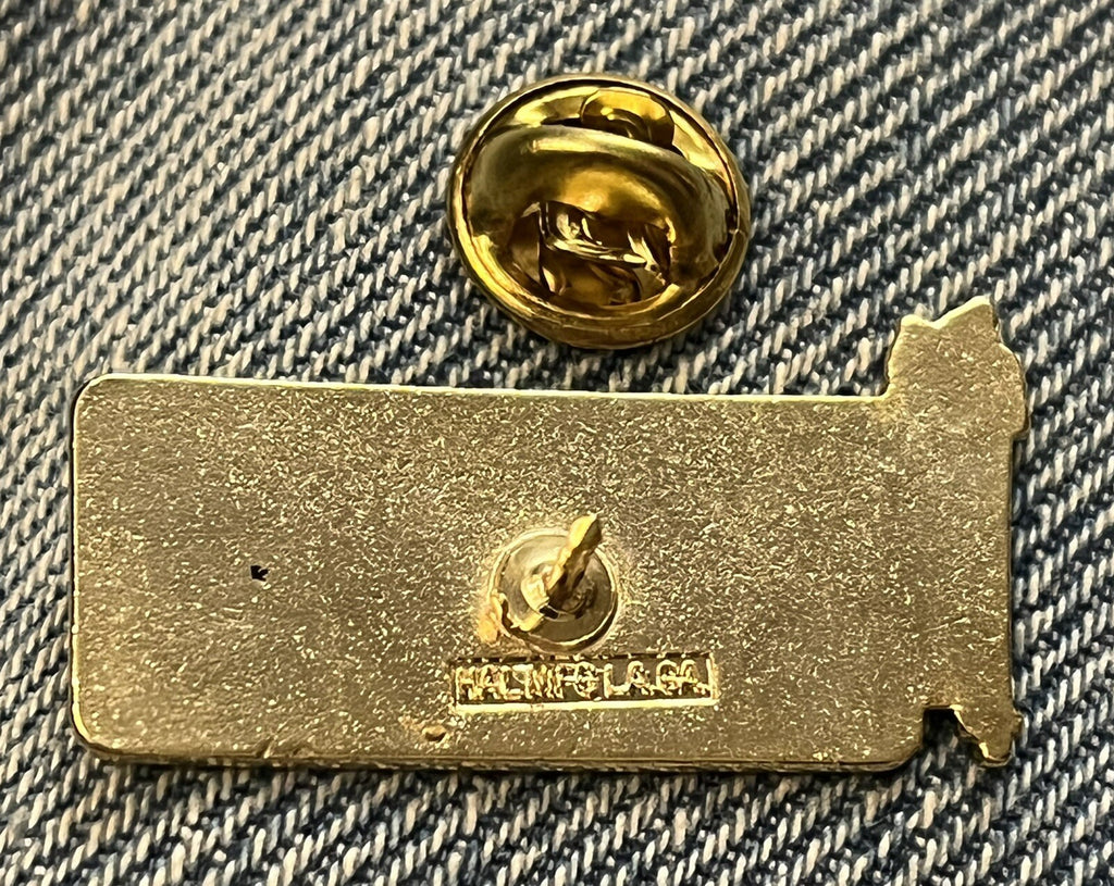 Berlitz 1984 Los Angeles Olympic sponsor pin (photo 2)